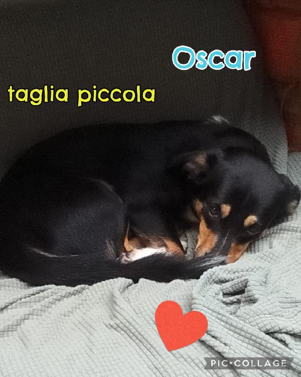 Oscar🤩 Cerca Casa 🏡  